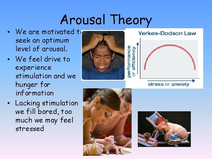 Arousal Theory • We are motivated to seek an optimum level of arousal. •