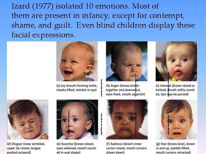 Izard (1977) isolated 10 emotions. Most of them are present in infancy, except for