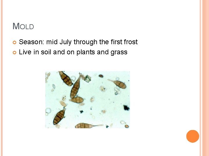 MOLD Season: mid July through the first frost Live in soil and on plants