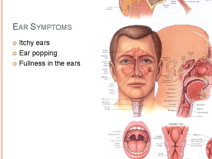 EAR SYMPTOMS Itchy ears Ear popping Fullness in the ears 