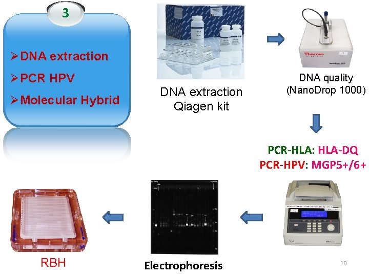 3 ØDNA extraction ØPCR HPV ØMolecular Hybrid DNA extraction Qiagen kit DNA quality (Nano.