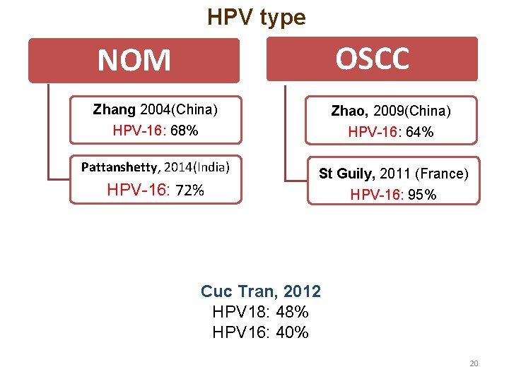 HPV type NOM OSCC Zhang 2004(China) HPV-16: 68% Zhao, 2009(China) HPV-16: 64% Pattanshetty, 2014(India)