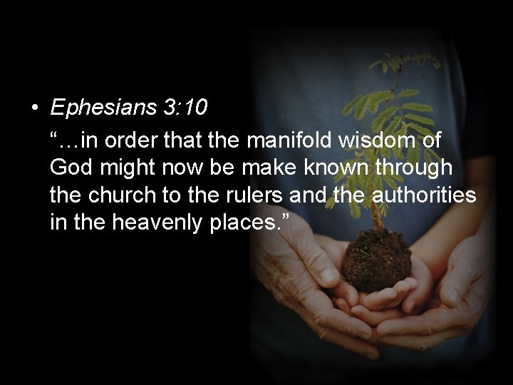  • Ephesians 3: 10 “…in order that the manifold wisdom of God might
