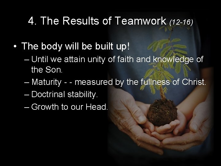 4. The Results of Teamwork (12 -16) • The body will be built up!