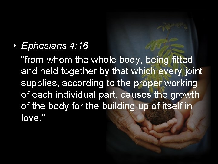  • Ephesians 4: 16 “from whom the whole body, being fitted and held