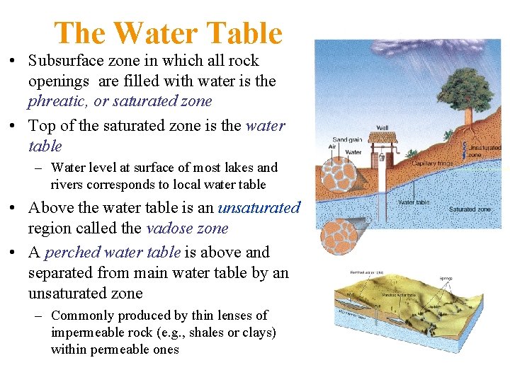 The Water Table • Subsurface zone in which all rock openings are filled with