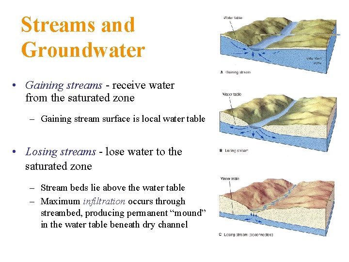 Streams and Groundwater • Gaining streams - receive water from the saturated zone –