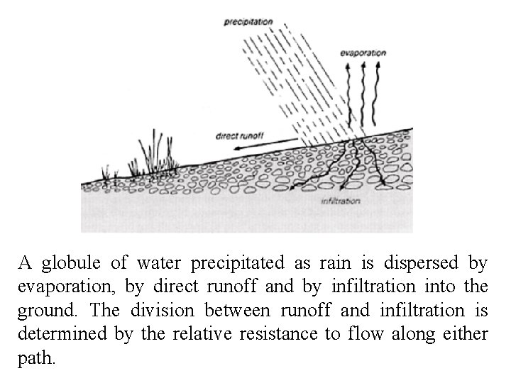 A globule of water precipitated as rain is dispersed by evaporation, by direct runoff