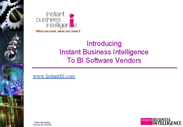 What you need, when you need it Introducing Instant Business Intelligence To BI Software