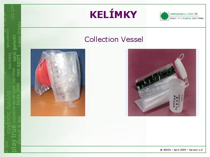 KELÍMKY Collection Vessel © WADA – April 2009 – Version 1. 0 