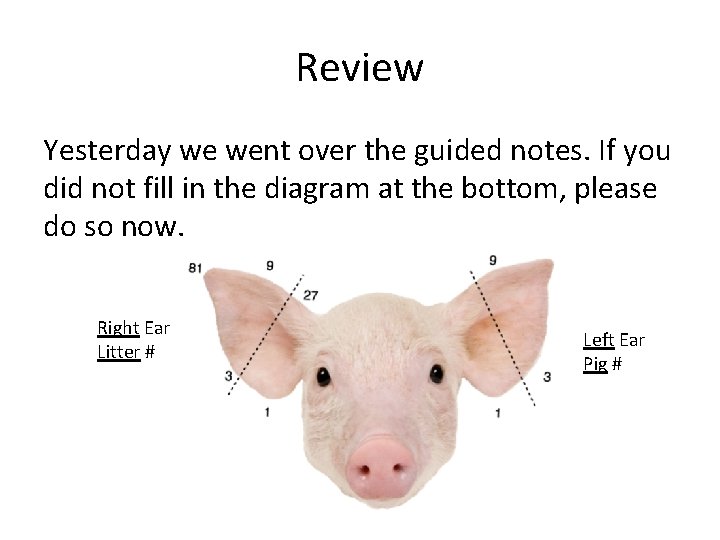 Review Yesterday we went over the guided notes. If you did not fill in