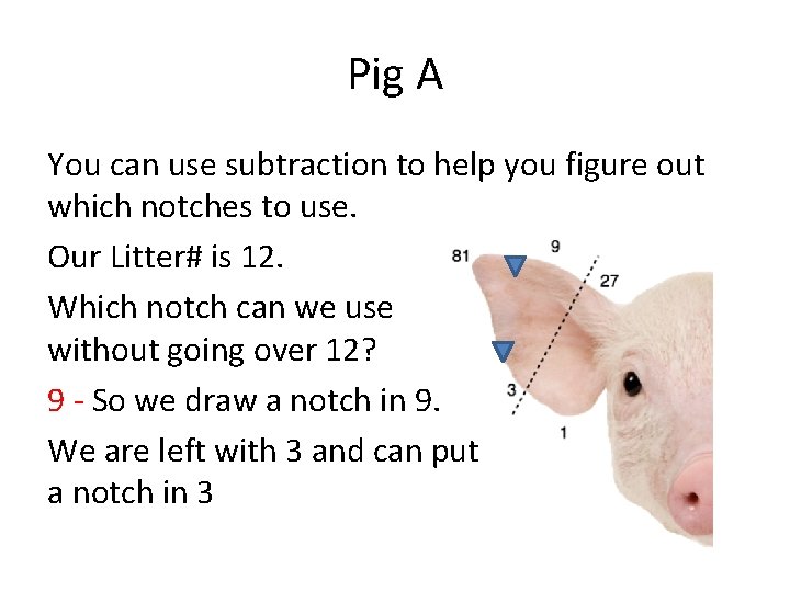 Pig A You can use subtraction to help you figure out which notches to