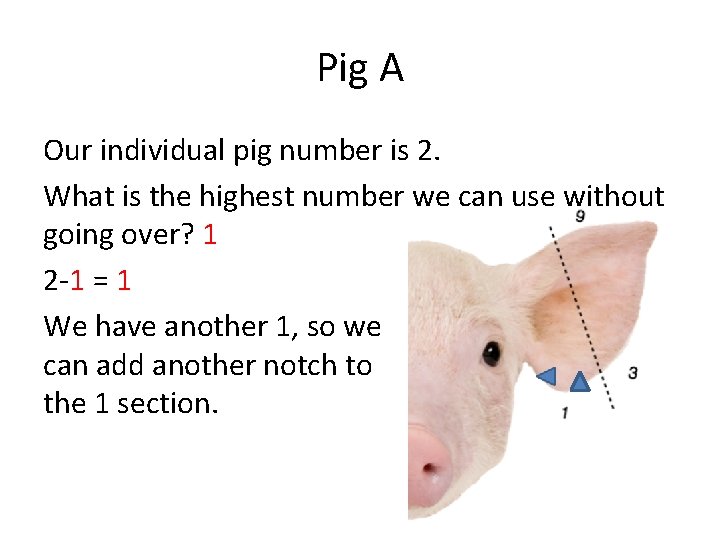 Pig A Our individual pig number is 2. What is the highest number we