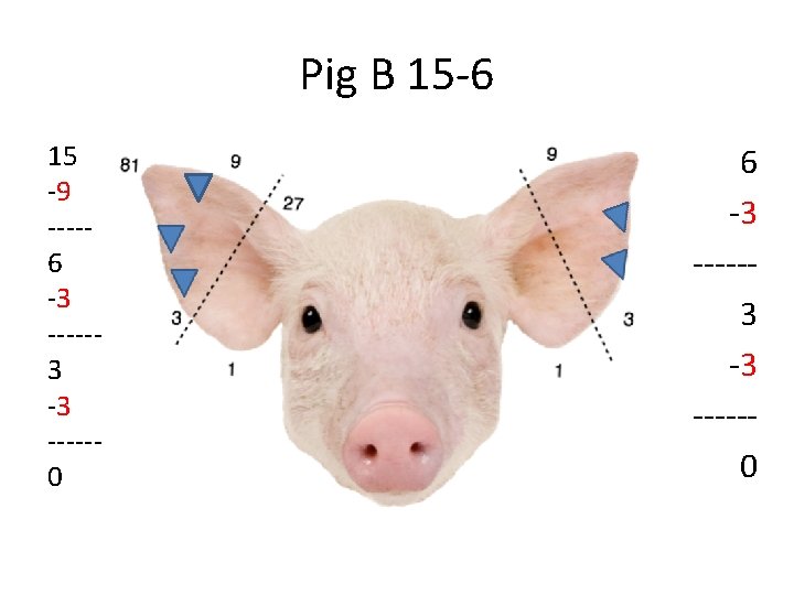 Pig B 15 -6 15 -9 ----6 -3 -----3 -3 -----0 