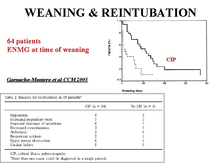 WEANING & REINTUBATION 64 patients ENMG at time of weaning CIP Garnacho-Montero et al