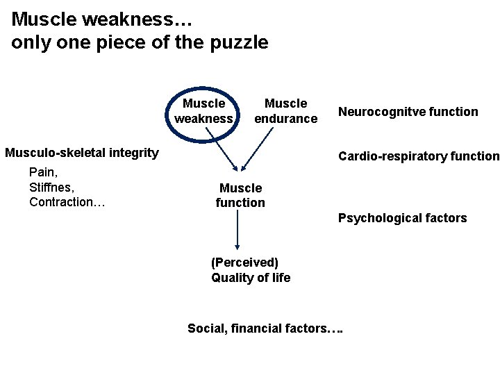 Muscle weakness… only one piece of the puzzle Muscle weakness Muscle endurance Musculo-skeletal integrity