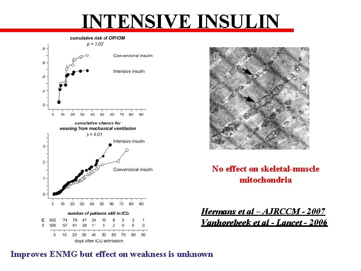 INTENSIVE INSULIN No effect on skeletal-muscle mitochondria Hermans et al – AJRCCM - 2007