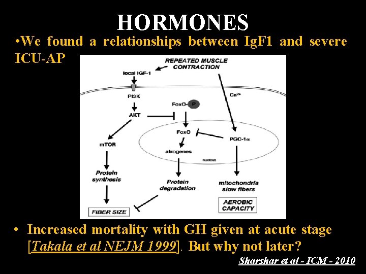 HORMONES • We found a relationships between Ig. F 1 and severe ICU-AP •