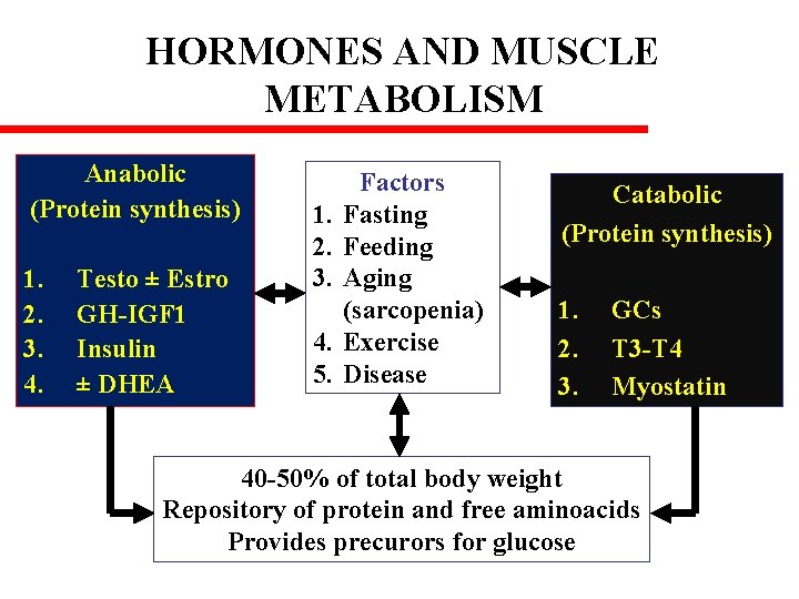 HORMONES AND MUSCLE METABOLISM Anabolic (Protein synthesis) 1. 2. 3. 4. Testo ± Estro