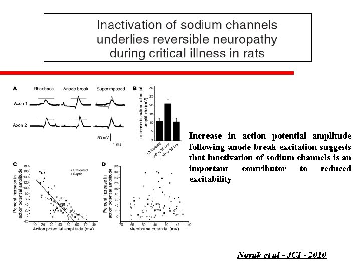 Increase in action potential amplitude following anode break excitation suggests that inactivation of sodium