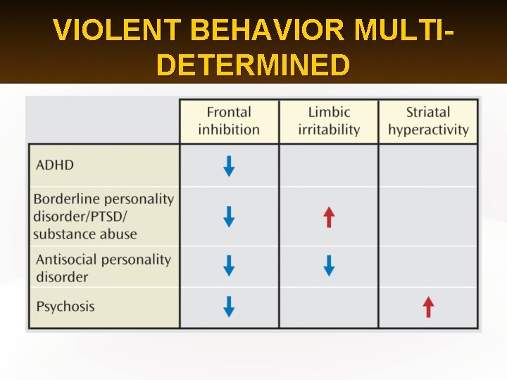 VIOLENT BEHAVIOR MULTIDETERMINED 