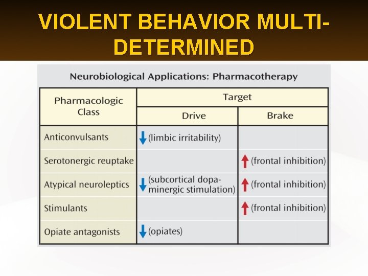 VIOLENT BEHAVIOR MULTIDETERMINED 