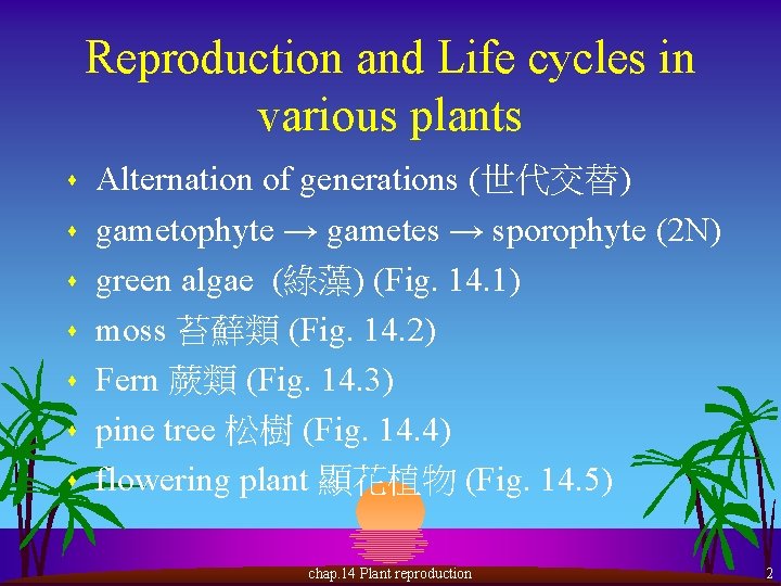 Reproduction and Life cycles in various plants s s s Alternation of generations (世代交替)