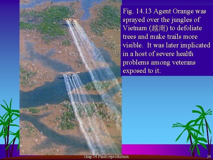 Fig. 14. 13 Agent Orange was sprayed over the jungles of Vietnam (越南) to