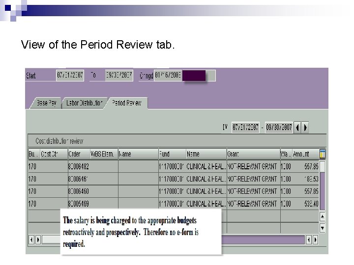 View of the Period Review tab. 