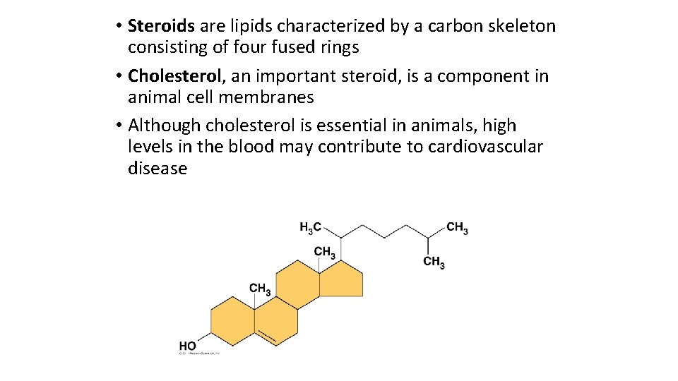  • Steroids are lipids characterized by a carbon skeleton consisting of four fused