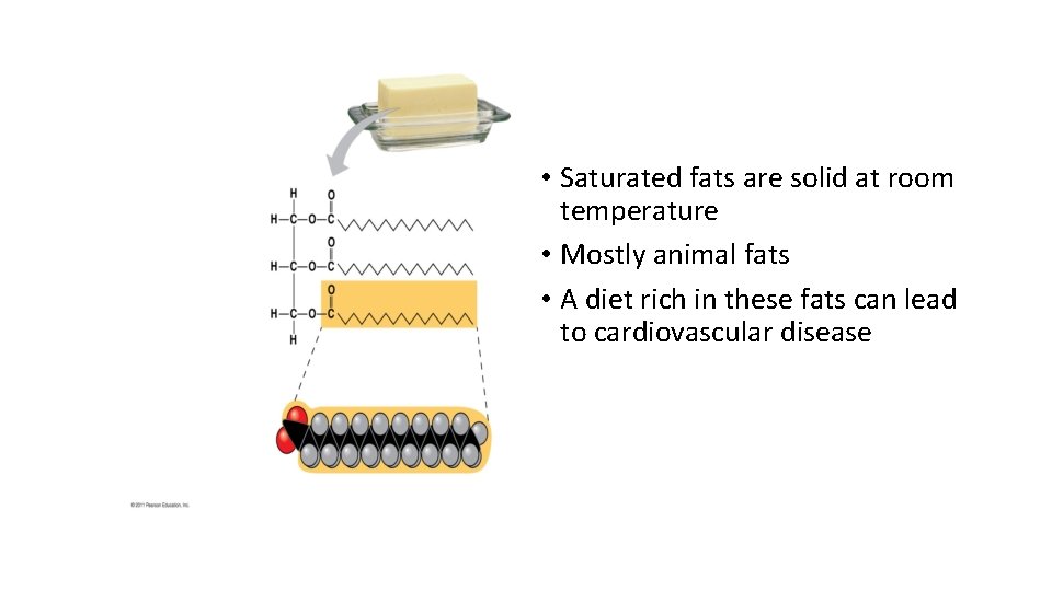  • Saturated fats are solid at room temperature • Mostly animal fats •