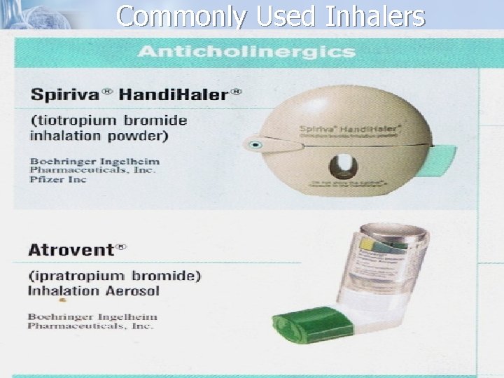 Commonly Used Inhalers 