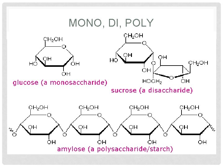 MONO, DI, POLY 