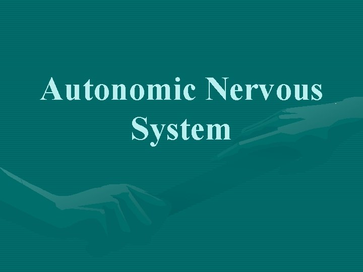 Autonomic Nervous System 