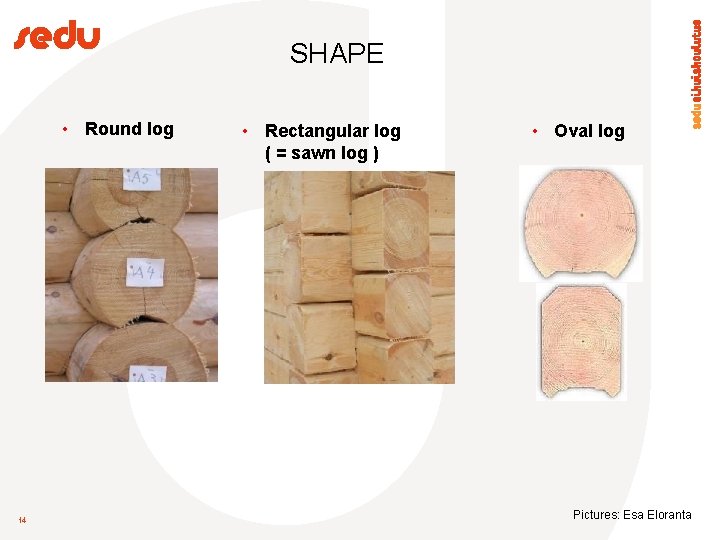 SHAPE • Round log 14 • Rectangular log ( = sawn log ) •