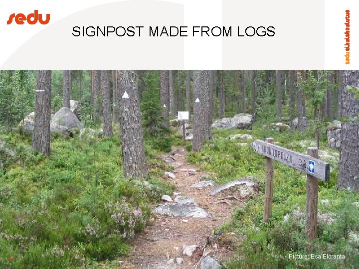SIGNPOST MADE FROM LOGS 31 Picture: Esa Eloranta 