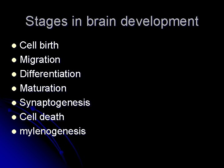 Stages in brain development Cell birth l Migration l Differentiation l Maturation l Synaptogenesis