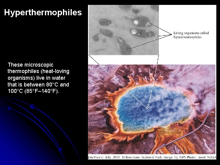 Hyperthermophiles These microscopic thermophiles (heat-loving organisms) live in water that is between 80°C and