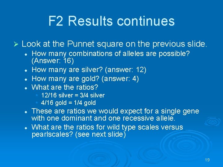 F 2 Results continues Ø Look at the Punnet square on the previous slide.