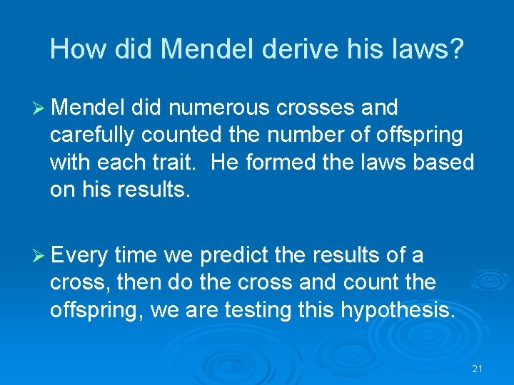 How did Mendel derive his laws? Ø Mendel did numerous crosses and carefully counted