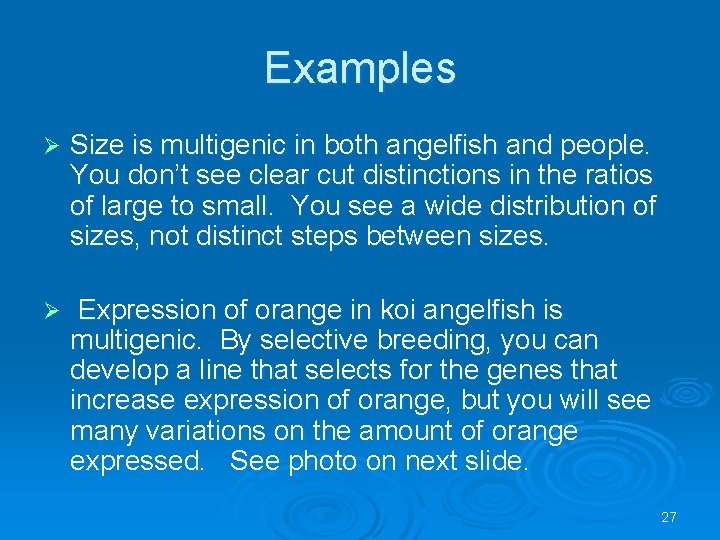 Examples Ø Size is multigenic in both angelfish and people. You don’t see clear