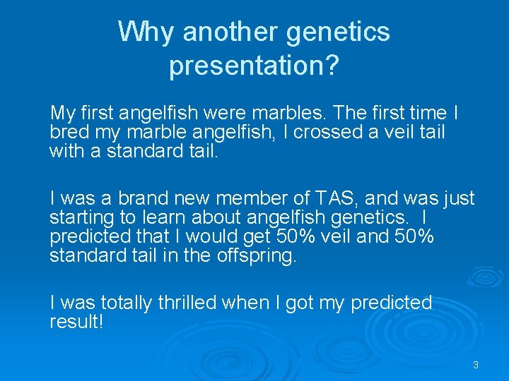 Why another genetics presentation? My first angelfish were marbles. The first time I bred