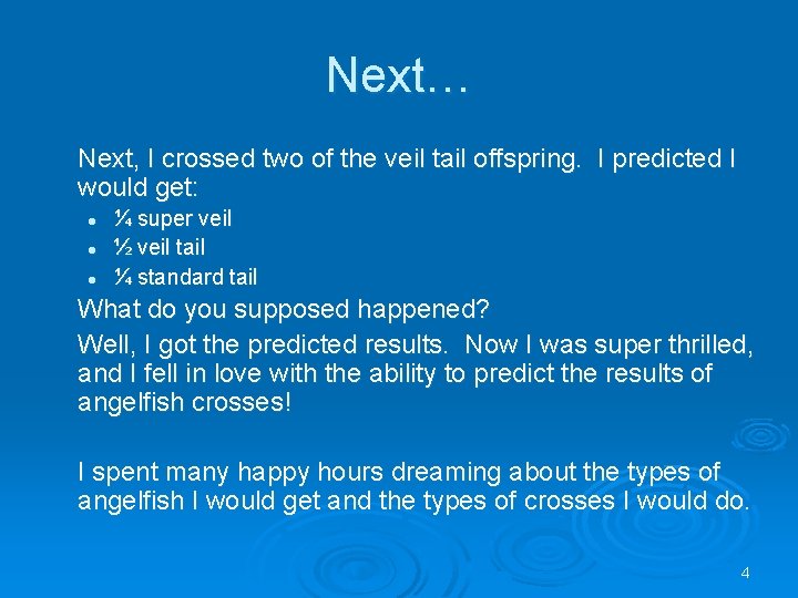 Next… Next, I crossed two of the veil tail offspring. I predicted I would