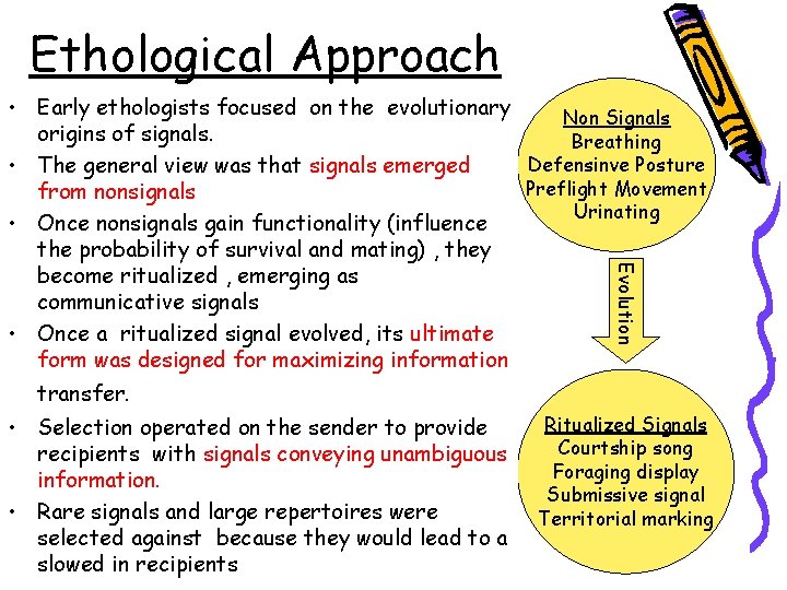 Ethological Approach Evolution • Early ethologists focused on the evolutionary Non Signals origins of