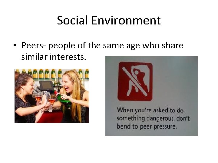 Social Environment • Peers- people of the same age who share similar interests. 