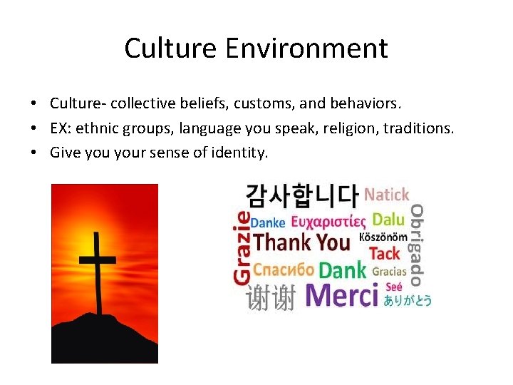 Culture Environment • Culture- collective beliefs, customs, and behaviors. • EX: ethnic groups, language