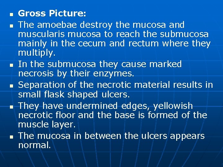 n n n Gross Picture: The amoebae destroy the mucosa and muscularis mucosa to