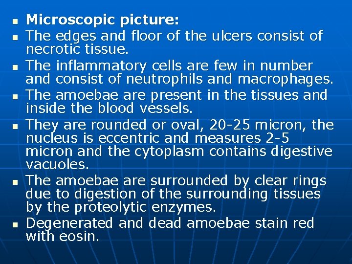 n n n n Microscopic picture: The edges and floor of the ulcers consist