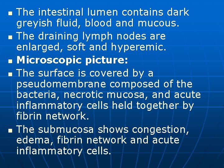 n n n The intestinal lumen contains dark greyish fluid, blood and mucous. The