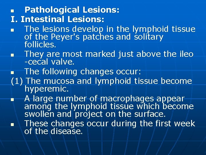 Pathological Lesions: I. Intestinal Lesions: n The lesions develop in the lymphoid tissue of